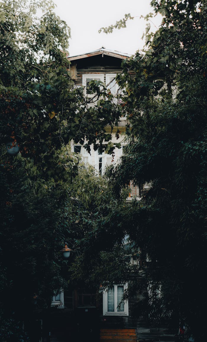 A charming house nestled among dense, green trees, offering a serene and secluded atmosphere.